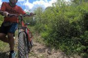 Mountain Bike Yungas de Salta