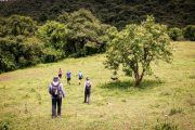 Trekking Yungas Salta