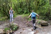 Trekking Yungas Salta